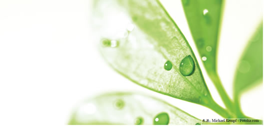 未命å?17.jpg 未命å?17.jpg