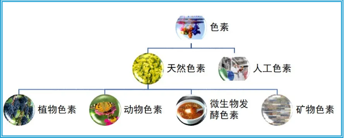 image002.png image002.png